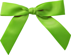 Green bow PNG image-10089